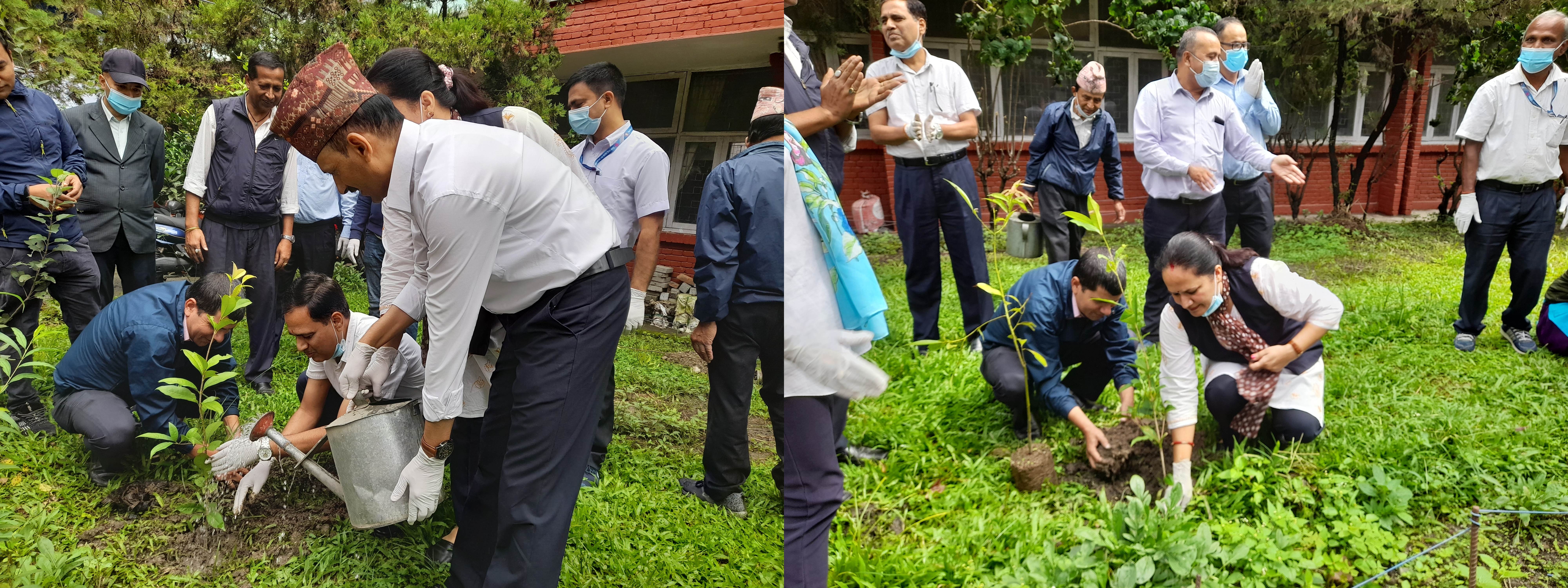 Slider Image: निजामती दिवस  2079,विभाग परिसरमा  सरसफाइ तथा वृक्ष...